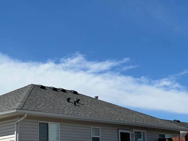 Best Wood Shake Roofing  in Bellville, TX